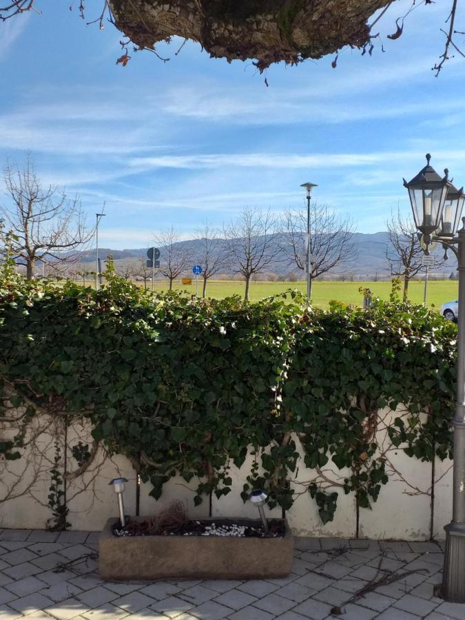 Hotel Landgasthof Adler Bad Krozingen Bagian luar foto